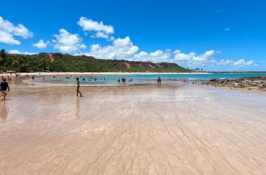 Brezilya 'nın kuzeydoğu bölgesinde tropik plaj