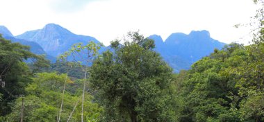 Brezilya 'nın Parana eyaletinin Mar Dağları