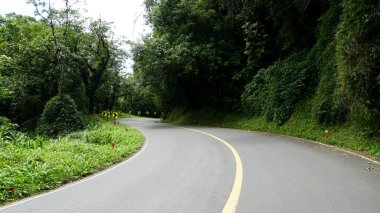 Estrada da Graciosa, historic road that cuts through the Atlantic forest in the Serra do Mar in the state of Paran, Brazil clipart