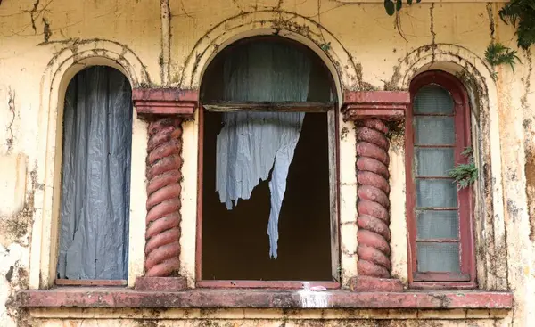 Marumbi istasyonunun kalıntıları, Marumbi ulusal parkı, Paran eyaletinin Atlantik orman bölgesi, Güney Brezilya