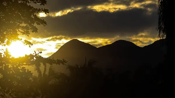 Ormanda güzel bir gün batımı