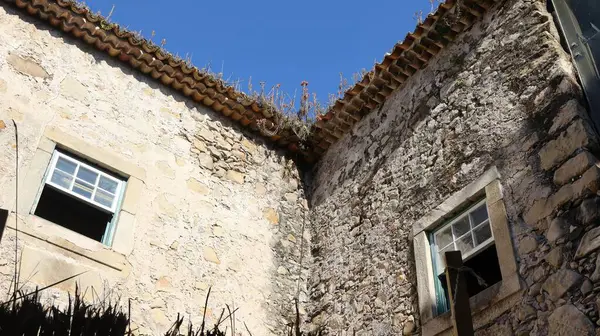 Paranagu Arkeoloji Müzesi 'nin iç avlusu, eski Cizvit Koleji, Paran Eyaleti, Brezilya