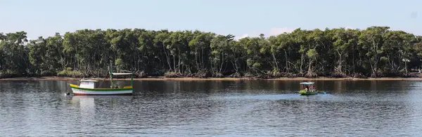 Itiber Nehri ve mangrovlar, Paranagu şehri, Paran eyaleti kıyıları, Brezilya