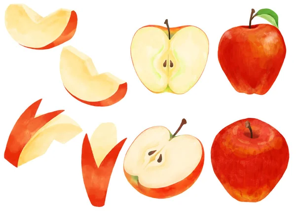 Illustrationen Von Äpfeln Aquarell Ausgedrückt — Stockfoto