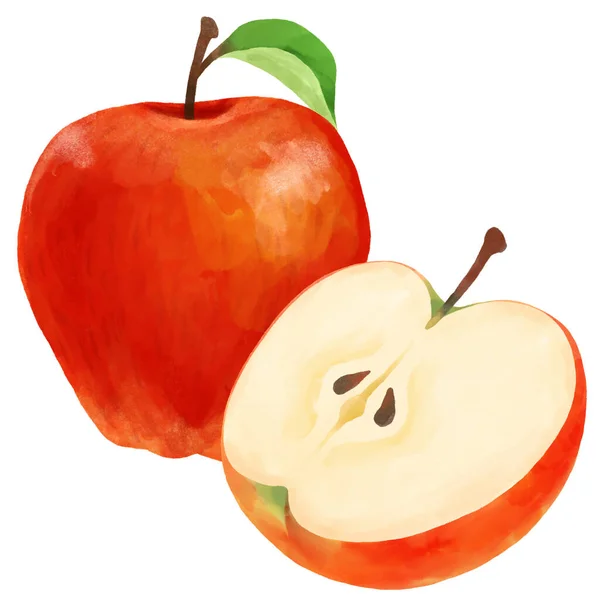 Illustration Whole Apple Apple Cut Half — Stock Photo, Image