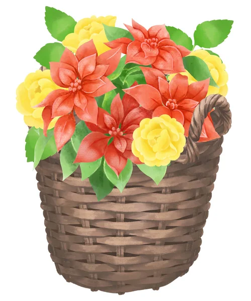 stock image Poinsettia and rose flower basket