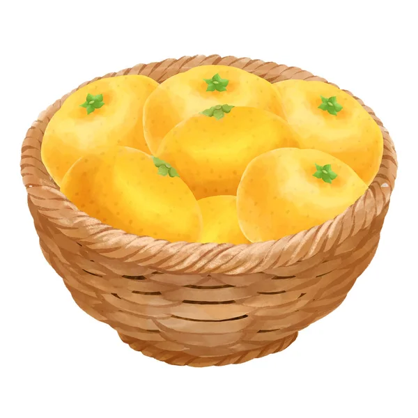 一个装满篮子的柑橘的图例 — 图库照片