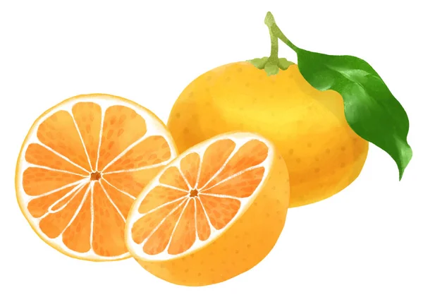 Illustration Der Köstlichen Mandarinenorangen — Stockfoto