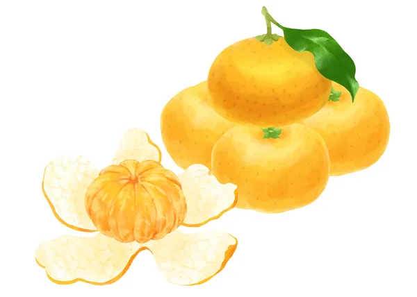 Ілюстрація Смачного Мандаринського Апельсина — стокове фото