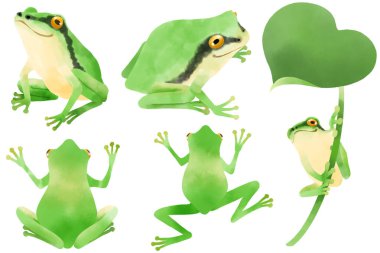 Frog material set drawn by watercolor
