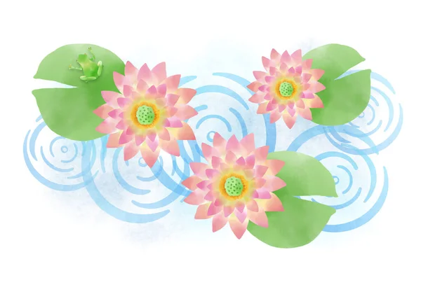 Illustration Mit Seerosenblumen Und Froschmotiven — Stockfoto