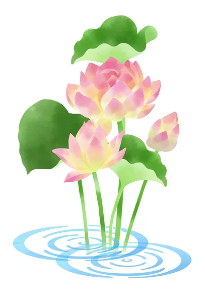 Illustration Mit Motiven Von Lotusblumen Und Wasserwellen — Stockfoto