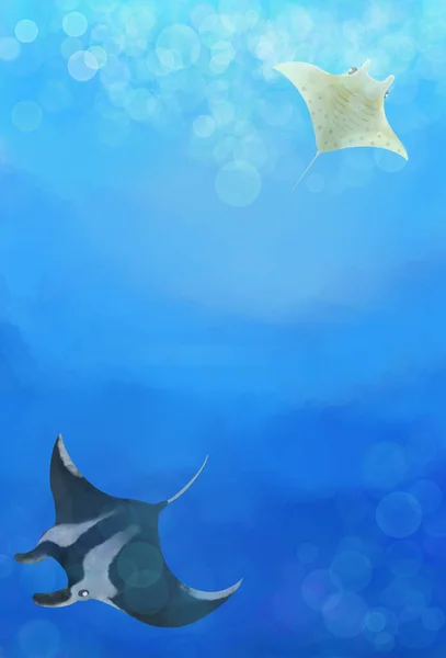Manta Rays Swimming Sea — Stock Photo, Image