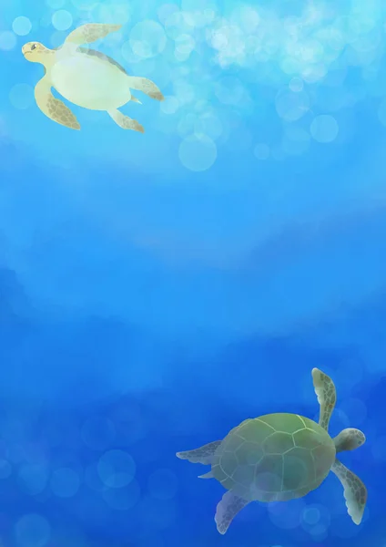 deniz kaplumbağası denizde Yüzme