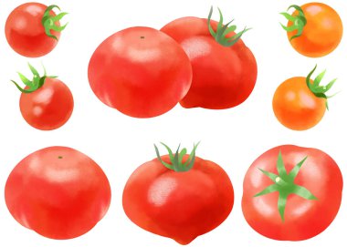Suluboya ile çizilmiş domates ve kiraz domatesleri.
