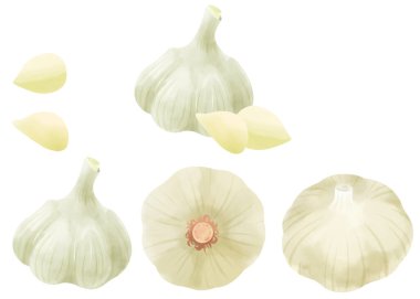 Suluboya sarımsak seti