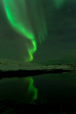 Aurora Borealis Tromso Norveç 'in kuzey ışığı