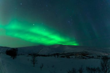 Aurora Borealis Tromso Norveç 'in kuzey ışığı