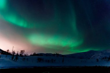 Aurora Borealis Tromso Norveç 'in kuzey ışığı