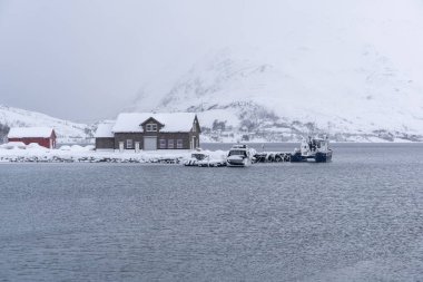 Tromso fiyortlarında karlı doğa, Norveç