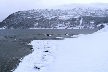 Tromso fiyortlarında karlı doğa, Norveç