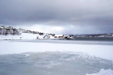 Tromso fiyortlarında karlı doğa, Norveç