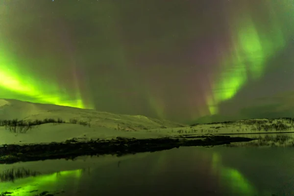 Aurora Boreal Luz Del Norte Tromso Norway —  Fotos de Stock