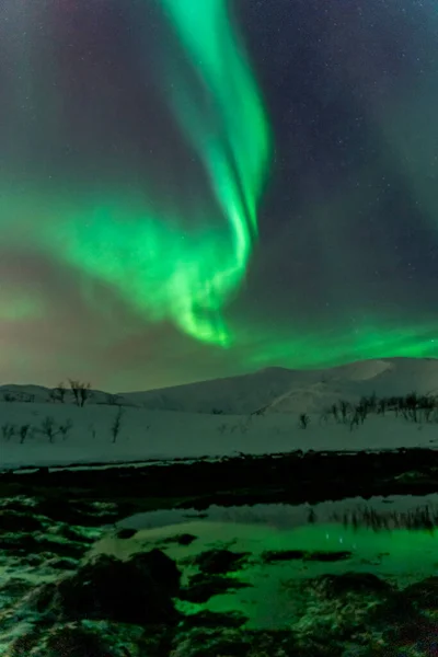 Zorza Polarna Borealis Północne Światło Tromso Norway — Zdjęcie stockowe