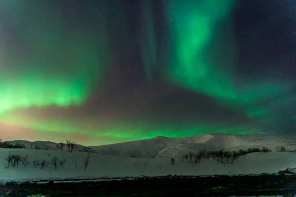 Aurora Borealis Nordlicht Tromso Norwegen — Stockfoto