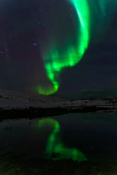Aurora Borealis Noordelijk Licht Tromso Noordwaarts — Stockfoto