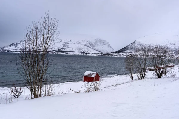Natura Innevata Fiordi Tromso Norway — Foto Stock