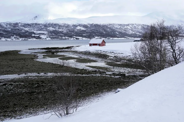 Χιονισμένο Τοπίο Φύση Φιόρδ Του Τρομσο Στη Νορβηγία — Φωτογραφία Αρχείου