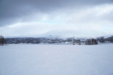 Tromso fiyortlarında karlı doğa, Norveç