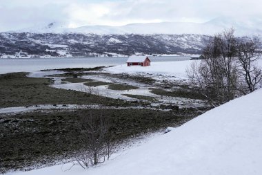 Tromso fiyortlarında karlı doğa, Norveç