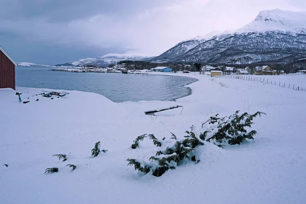 特罗姆瑟峡湾 积雪的大自然 — 图库照片