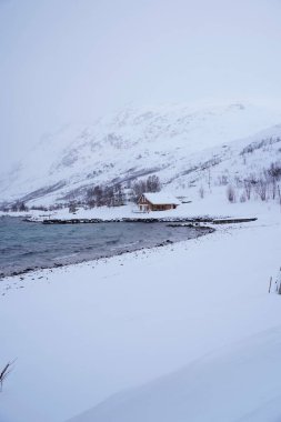 Tromso fiyortlarında karlı doğa, Norveç