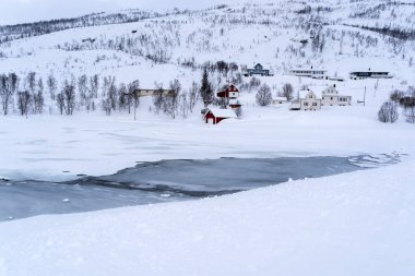 Tromso fiyortlarında karlı doğa, Norveç