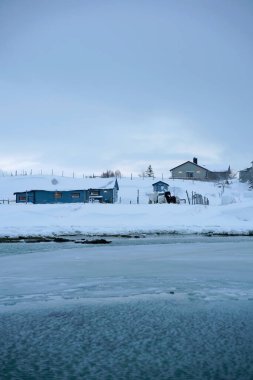 Tromso fiyortlarında karlı doğa, Norveç