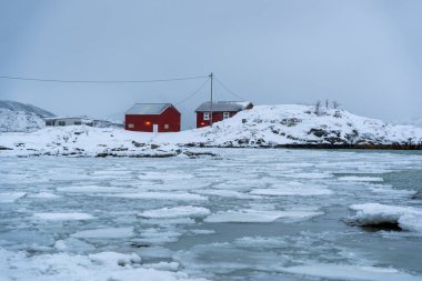 Tromso fiyortlarında karlı doğa, Norveç