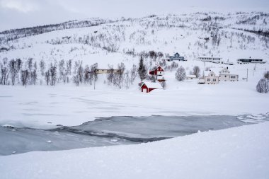 Tromso fiyortlarında karlı doğa, Norveç