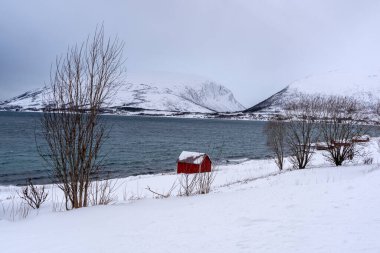 Tromso fiyortlarında karlı doğa, Norveç