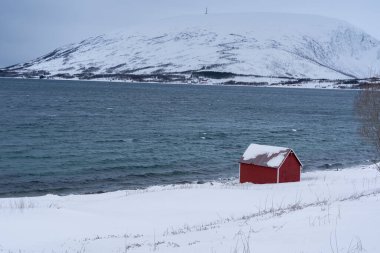 Tromso fiyortlarında karlı doğa, Norveç