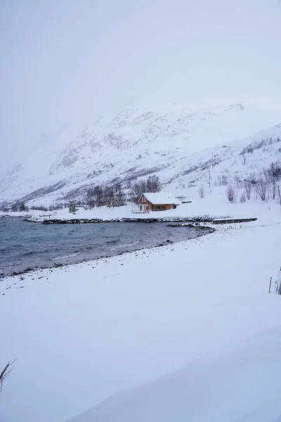 Naturaleza Nevada Fiordos Tromso Norway — Foto de Stock