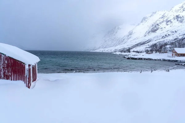 북쪽의 피오르드의 눈덮인 — 스톡 사진