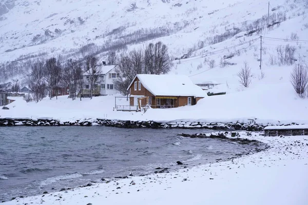 Besneeuwde Natuur Tromso Fjorden Noors — Stockfoto