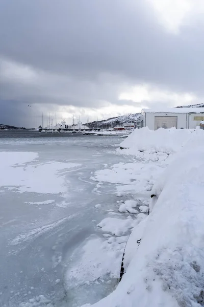 Tromso Fiyortlarında Karlı Doğa Norveç — Stok fotoğraf