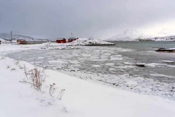 Śnieżna Przyroda Fiordach Tromso Norwegia — Zdjęcie stockowe