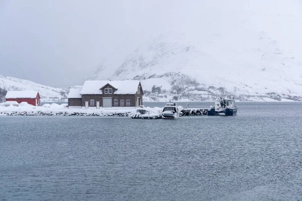 Tromso fiyortlarında karlı doğa, Norveç