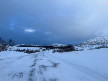 Tromso Norveç 'te karlı doğa