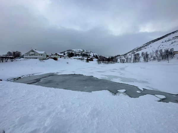 Сніговий Пейзаж Селі — стокове фото